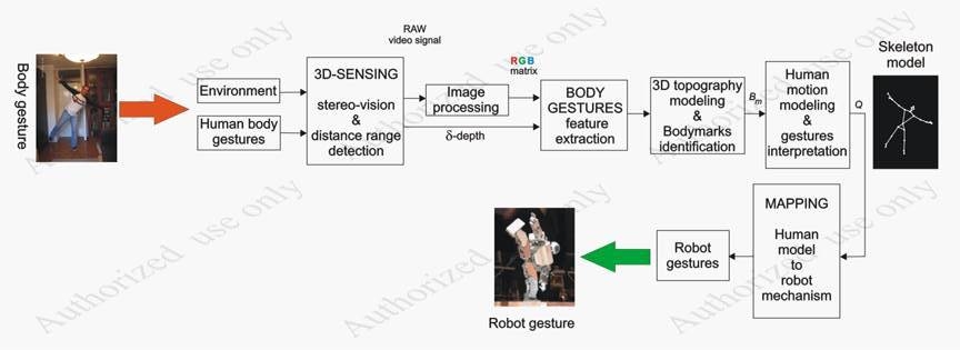 Layout of body-gestures interpretation and human gesture imitation using considered human-robot inteface