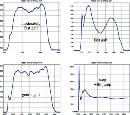 Experimentaly measured ground reaction forces at human footsole in the stance phase of the gait – different peaks of amplitudes depending on gait characteristics.