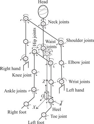 Kinematic scheme of a 38 d.o.f. biped locomotion mechanism (human or humanoid)
assumed for modeling and simulation.