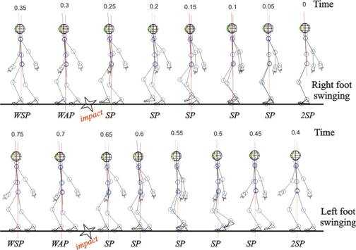 Samples of the biped robot locomotion – simulation of kinematics and dynamics