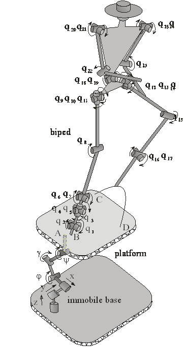Humanoid robotic mechanism with 25 DOF and platform with 6 DOF (this example is analyzed only with flexible gears).